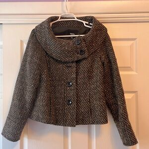 Massimo size medium brown, black and white coat